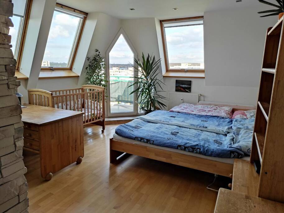 Very Comfortable Flat For The Whole Family Apartment Prague